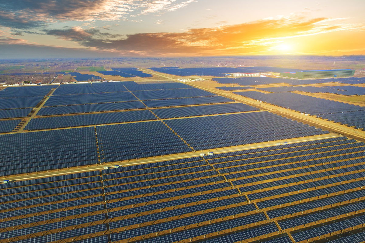 �й���9888��˹ά��˹(�ɷ�)���޹�˾-�ٷ���վ